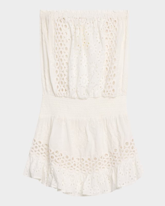 Lester Embroidered Strapless Mini Dress